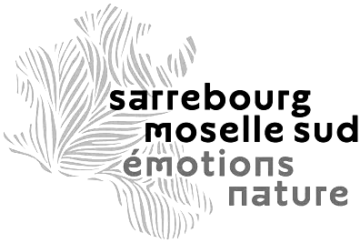 Logo Sarrebourg Moselle Sud