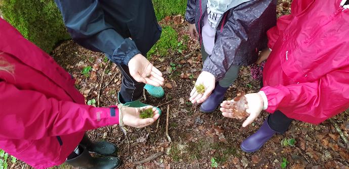 Cours découvert nature